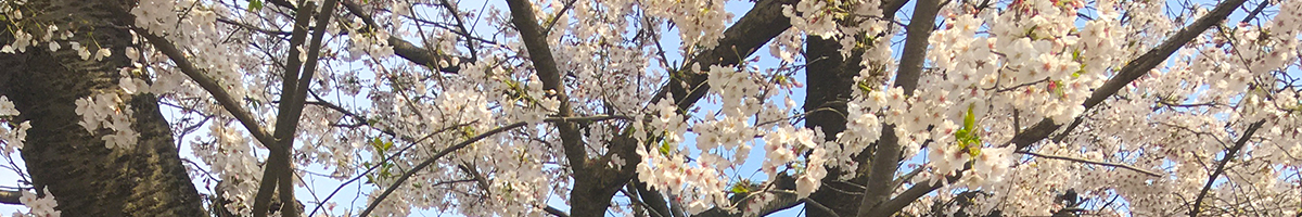 ナーシングホームゆらりん